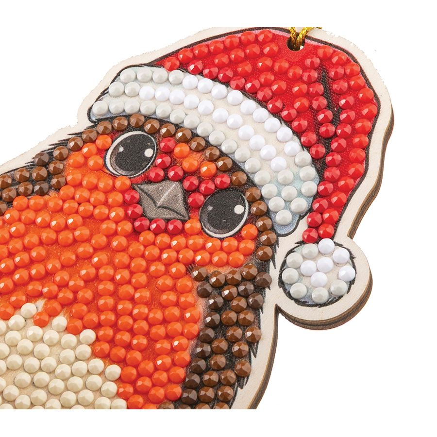 Pettirosso di Natale