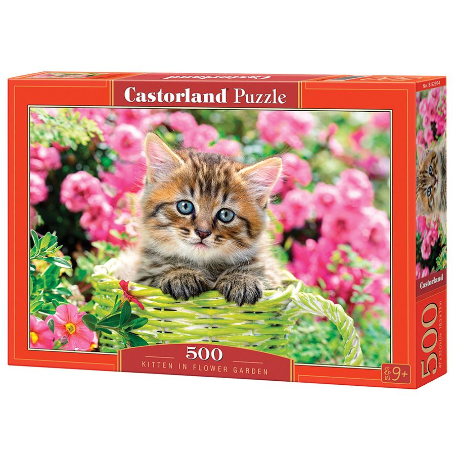 Gattino in giardino