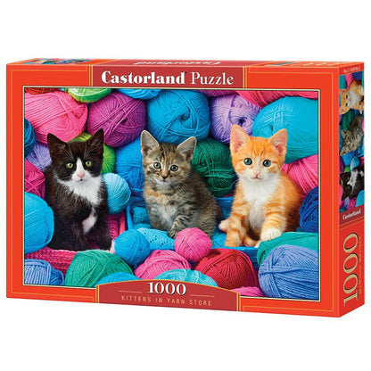 Gattini in un negozio di lana