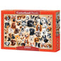 Patchwork di cani