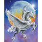 Volo al chiaro di luna