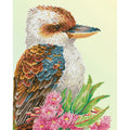 Kookaburra e Fiore di Gomma