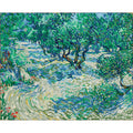 L'uliveto di Van Gogh