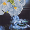 Goccia d'acqua
