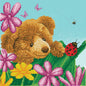 Orso Nascondino