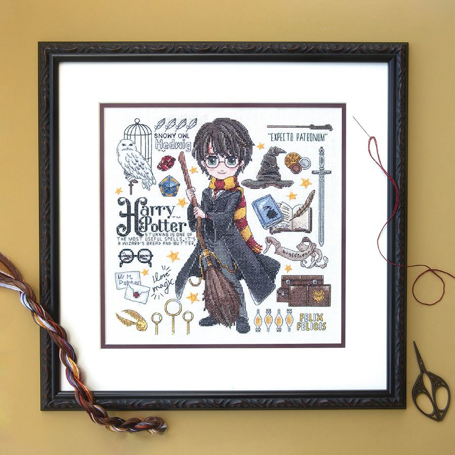 Harry Potter