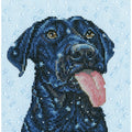 Cane nella neve