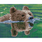 Grizzly