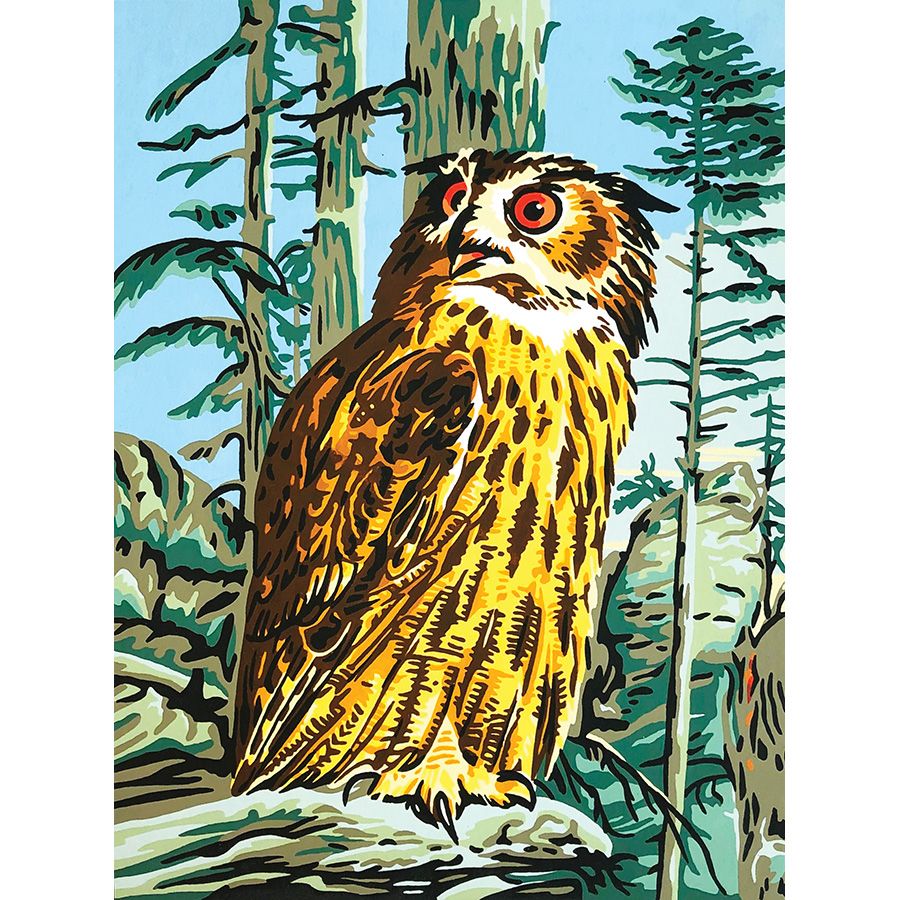 Gufo nel bosco