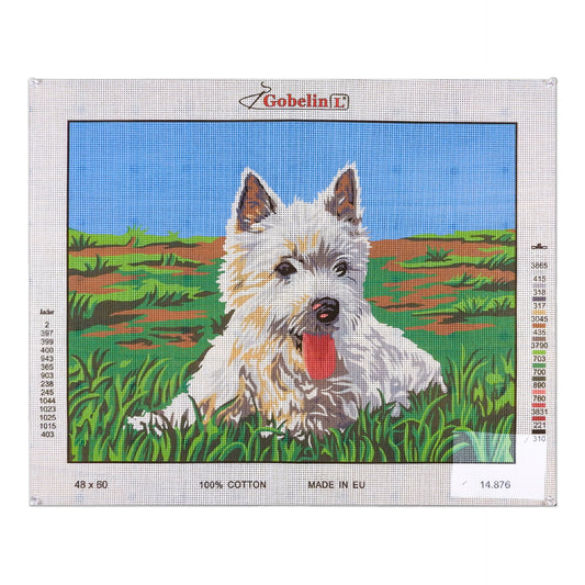 West Higland white terrier