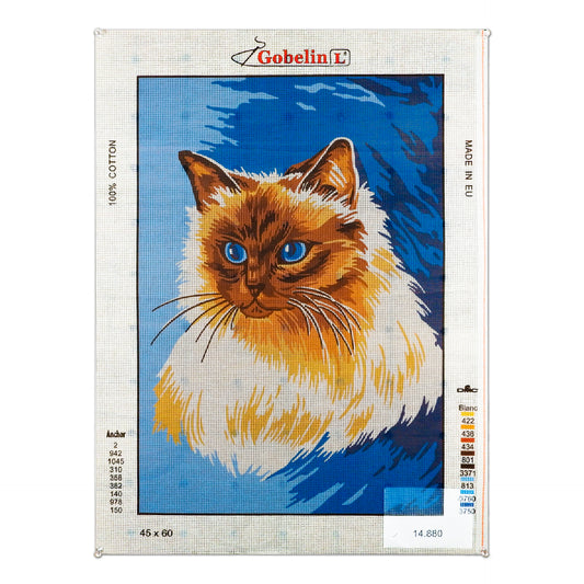 Gatto Siamese