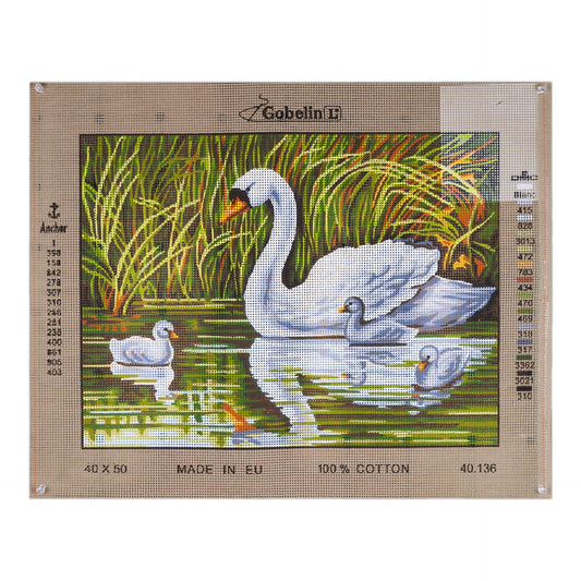 Il cigno e i suoi cuccioli
