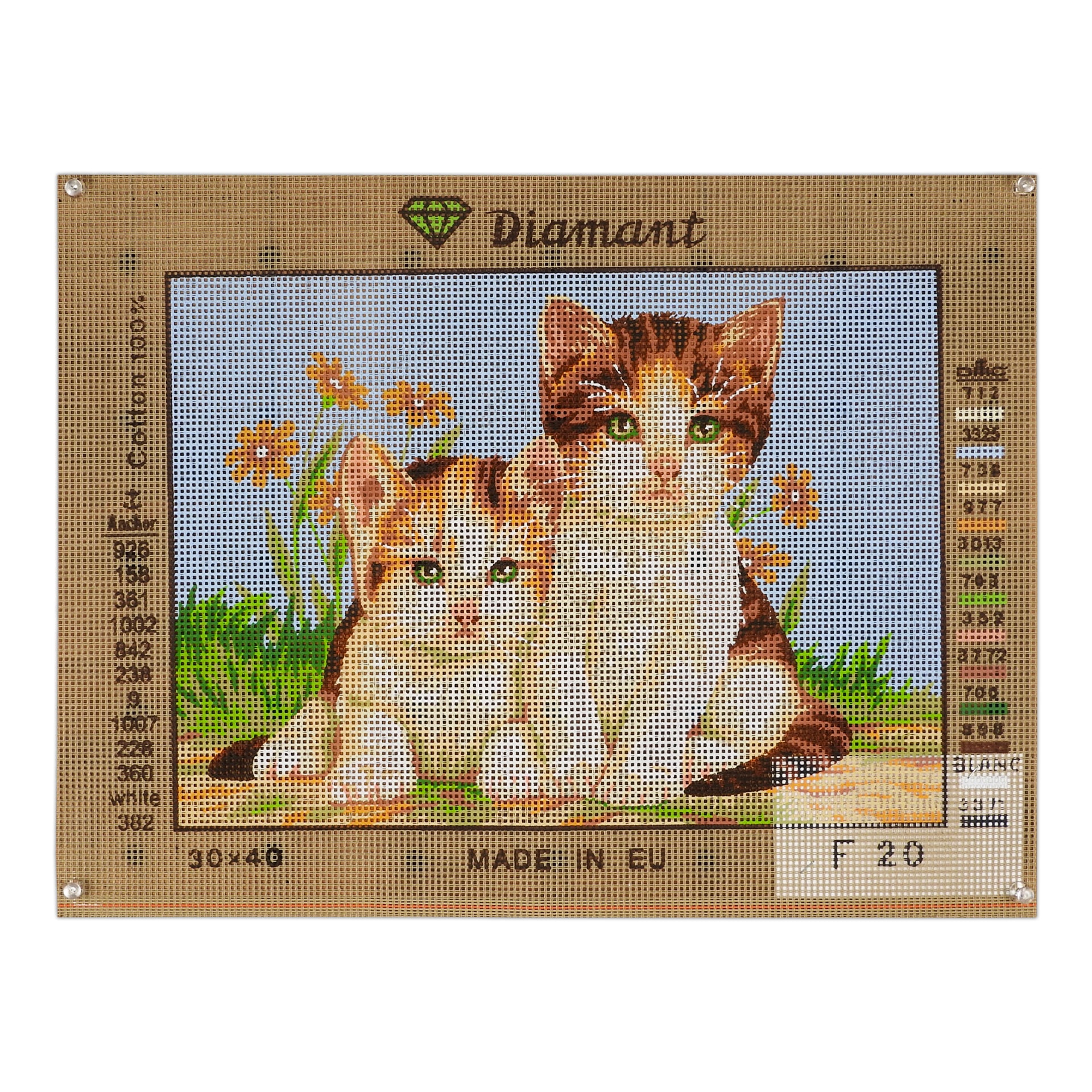 Gattini tra i fiori
