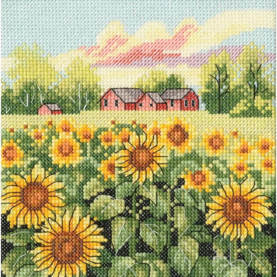 Campo di girasoli