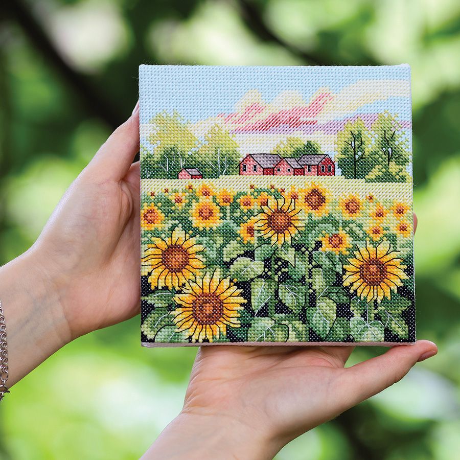 Campo di girasoli