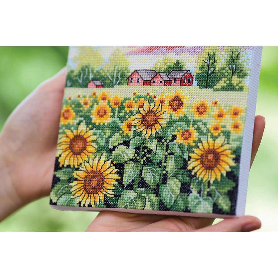 Campo di girasoli