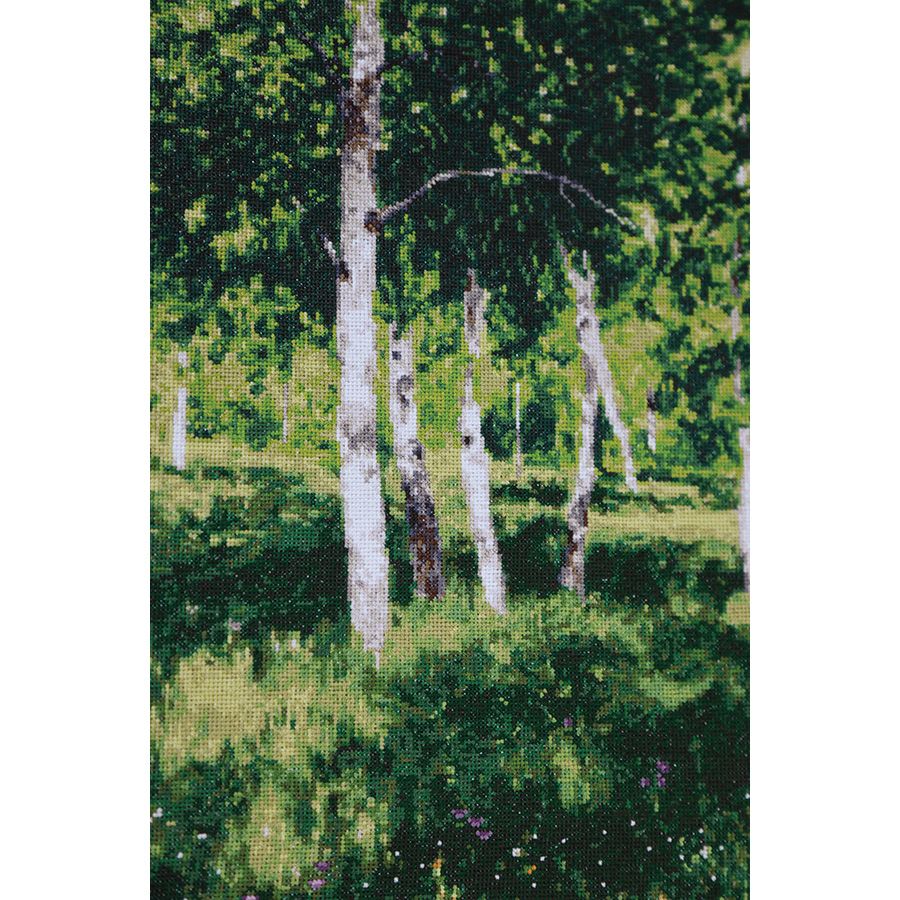 Legno di betulla