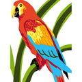 Pappagallo rosso