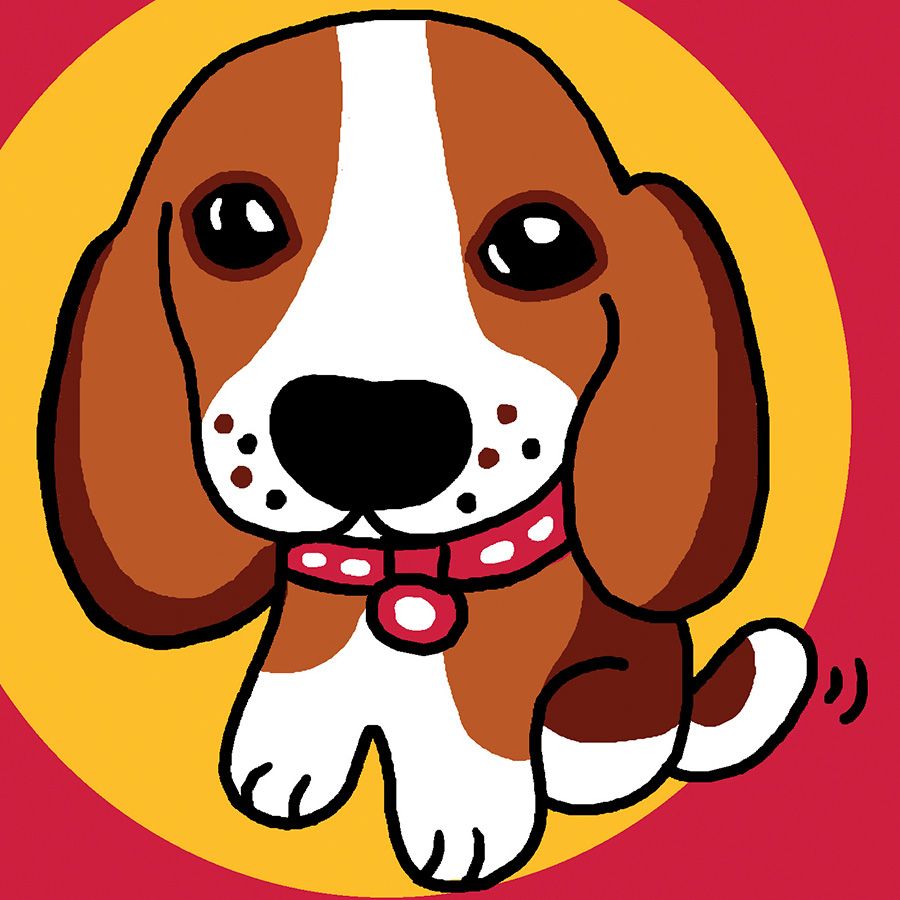 Tenero beagle