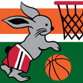 Coniglio che gioca a basket