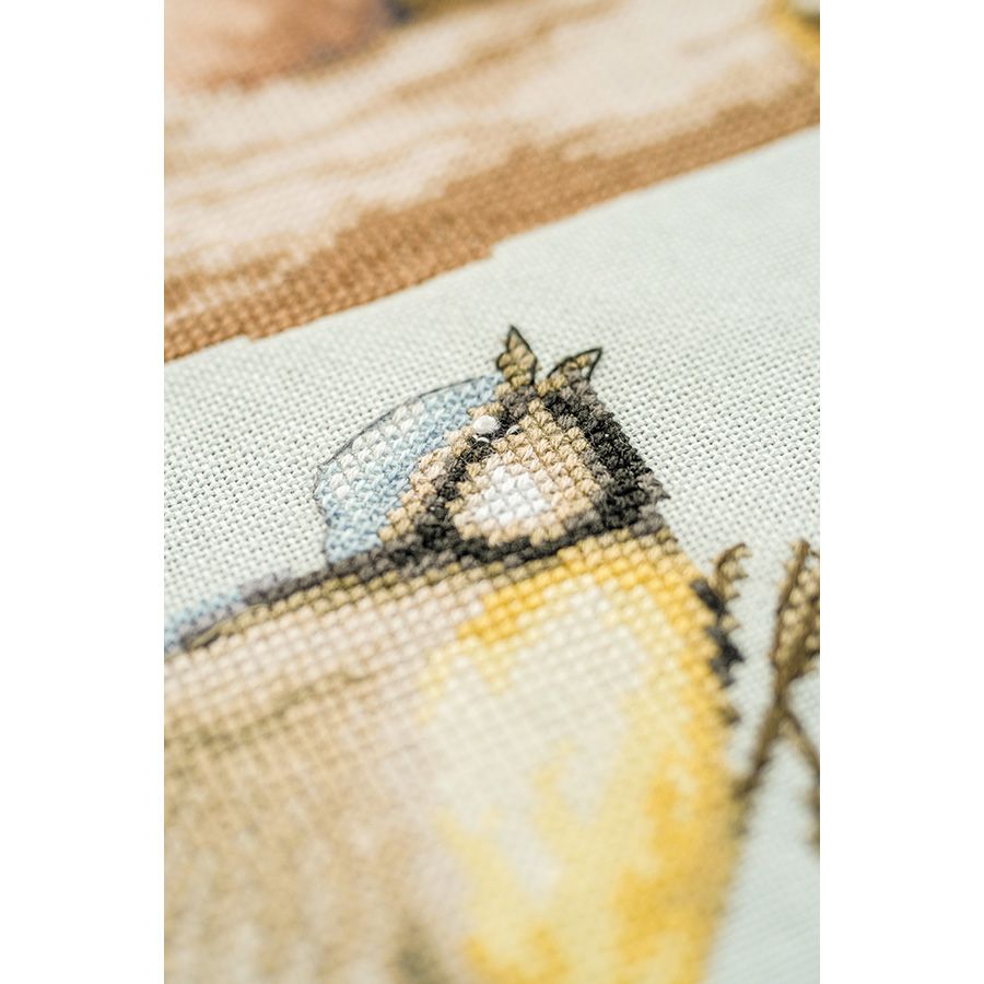 Famiglia di uccellini