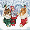 Gattini innevati