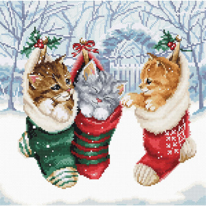 Gattini innevati
