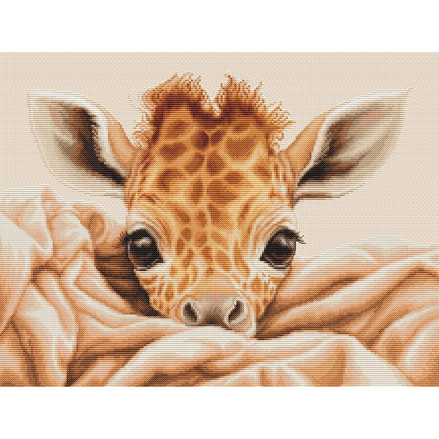 Giraffa baby