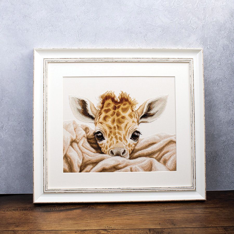 Giraffa baby