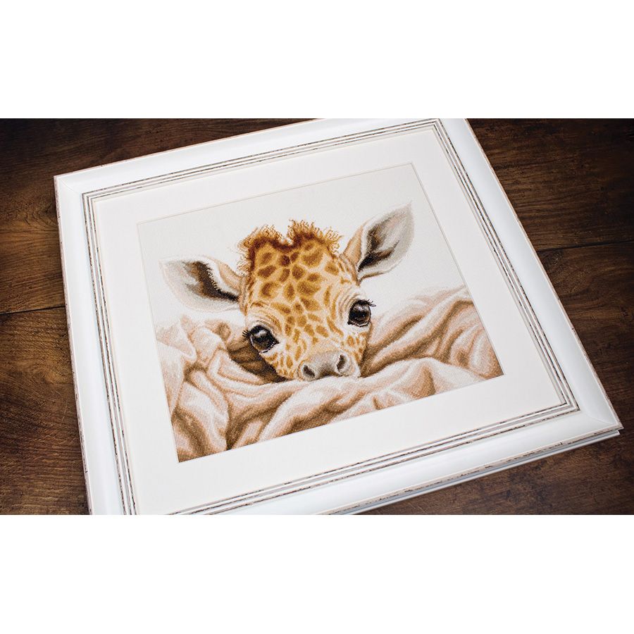 Giraffa baby