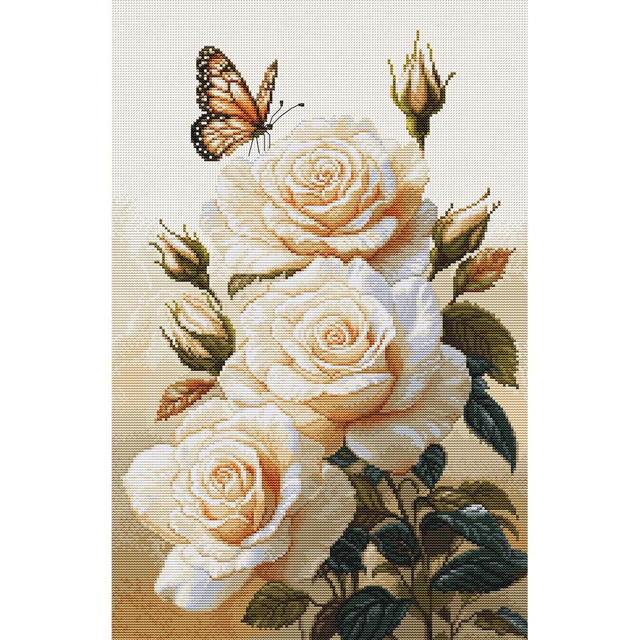 Il profumo delle rose