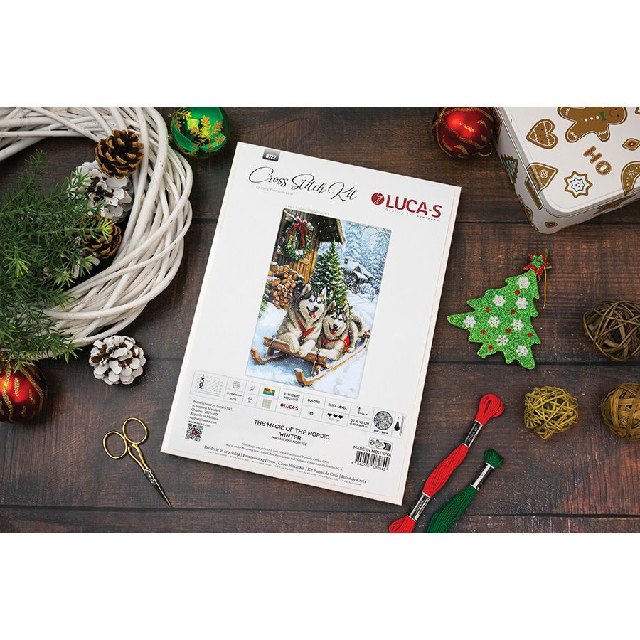 La magia dell'inverno nordico