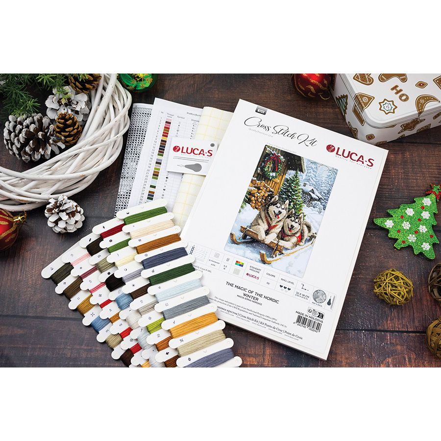 La magia dell'inverno nordico