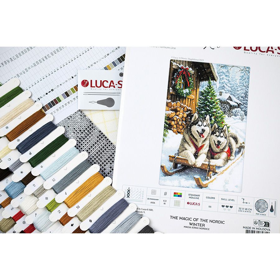 La magia dell'inverno nordico