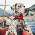 Dalmata sul Lago di Como