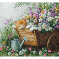 I gattini stanno dormendo