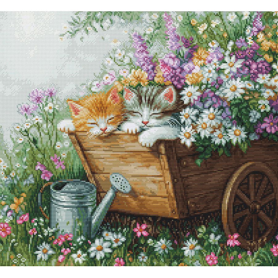 I gattini stanno dormendo