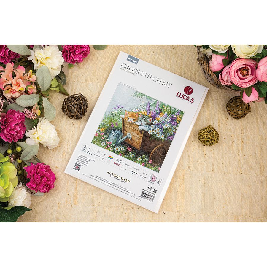 I gattini stanno dormendo