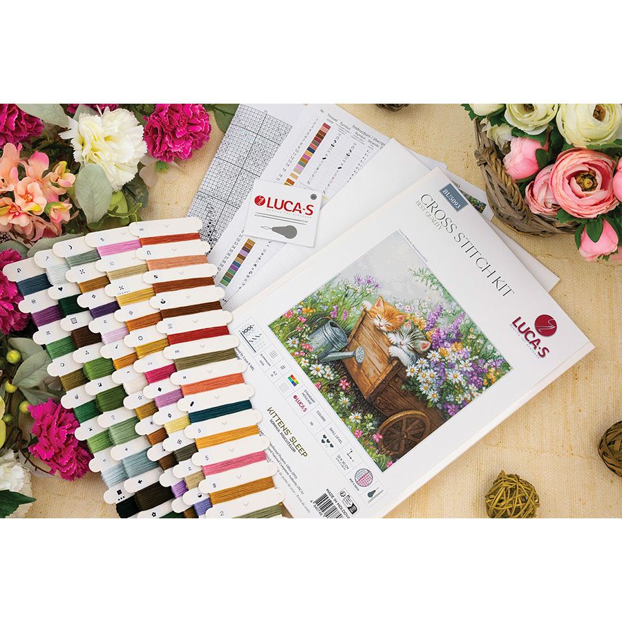 I gattini stanno dormendo