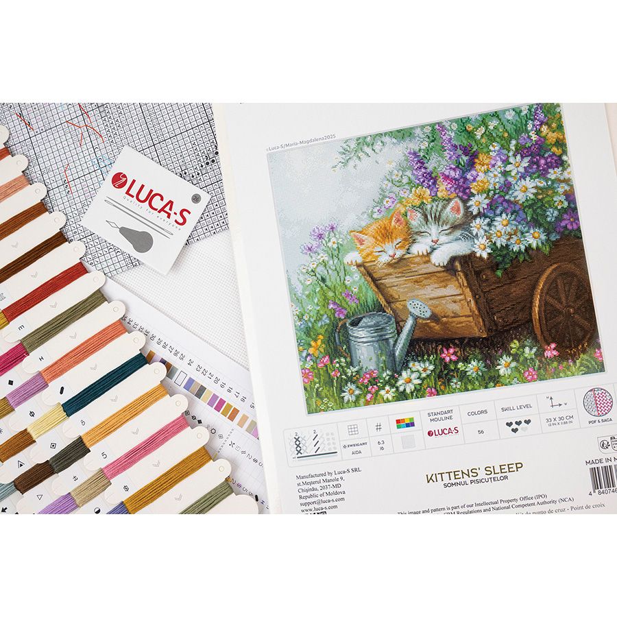 I gattini stanno dormendo