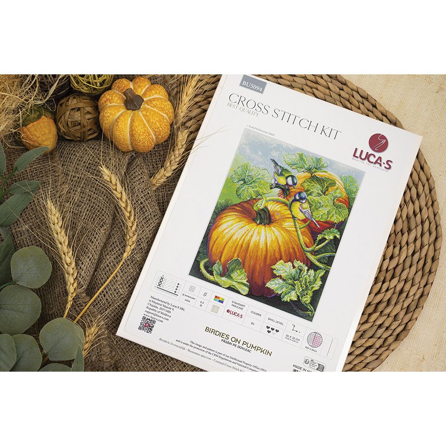 Uccelli su una zucca