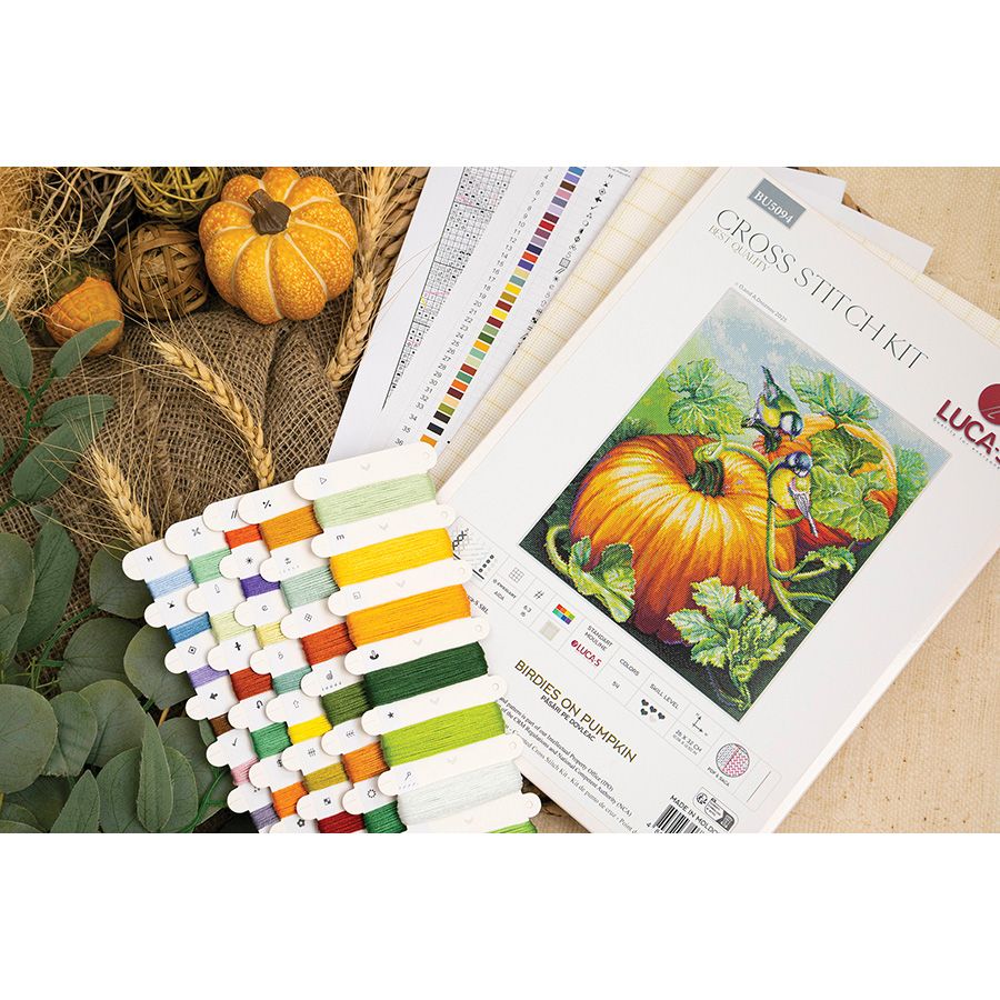 Uccelli su una zucca