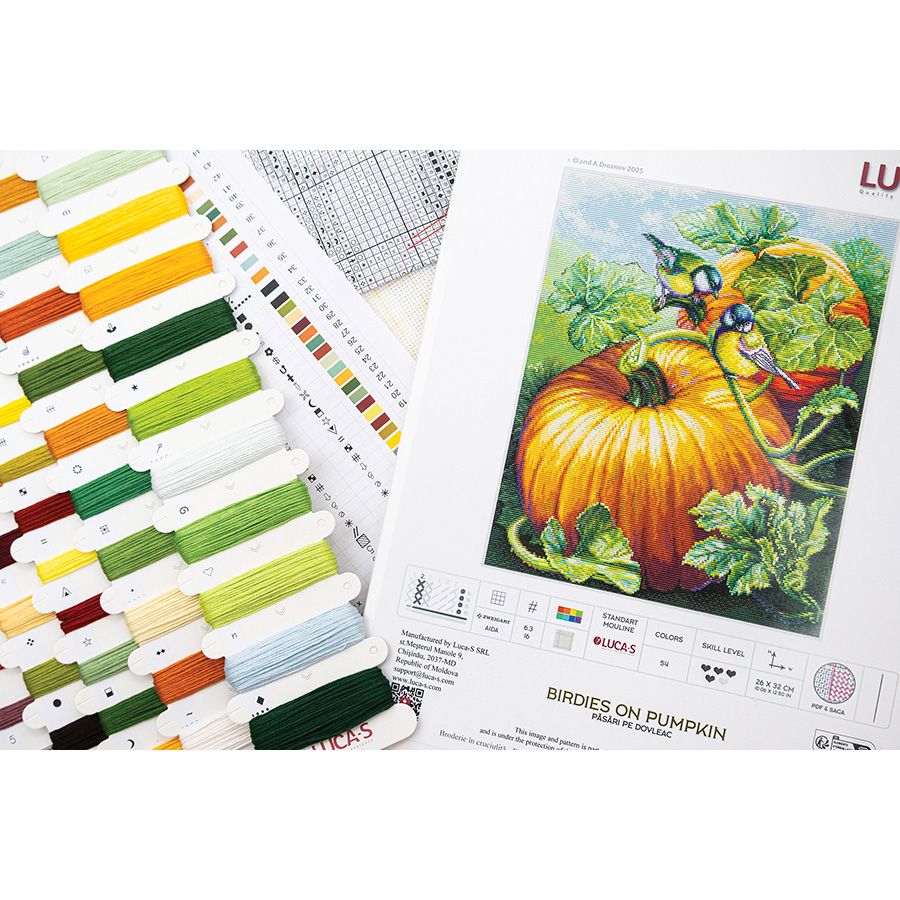 Uccelli su una zucca