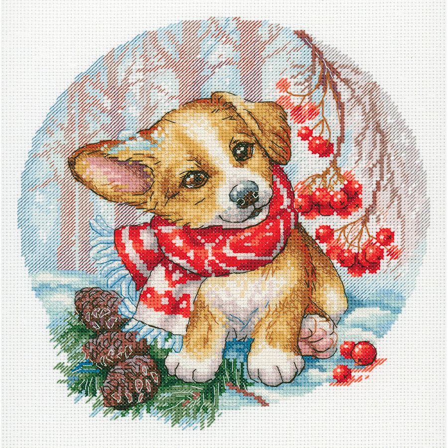 Una passeggiata nella foresta