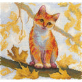 Gatto rosso