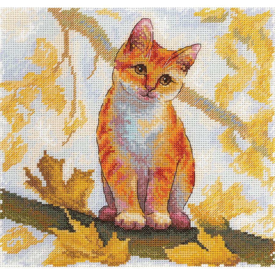 Gatto rosso
