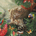 Il leopardo nella giungla
