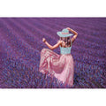 Campo di lavanda