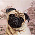 Carlino