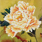 Fiore giallo